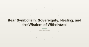 Bear Symbolism: Sovereignty, Healing, and the Wisdom of Withdrawal