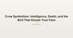 Crow Symbolism: Intelligence, Death, and the Bird That Knows Your Face