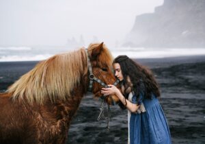 Animal Soul Correspondences: A Spiritual Guide to Understanding Divine Animal Messengers