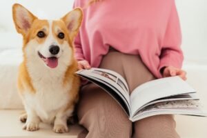 Animal Soul Decoder: Understanding Spiritual Correspondences with Your Animal Guide