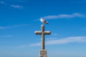 Animal Correspondences: Spiritual Meanings & Symbolic Connections Across Ancient Traditions