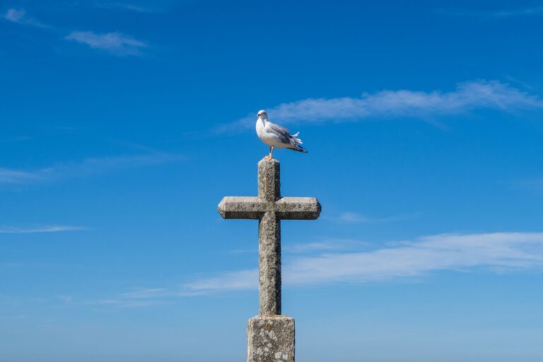 Animal Correspondences: Spiritual Meanings & Symbolic Connections Across Ancient Traditions - AnimalSoulDecoder