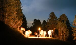 Sacred Animal Soul Ritual: A Step‑by‑Step Guide to Connect with Your Spirit Guide