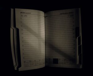 Building a Spirit Animal Journal: 4-Week Template to Track Symbols and Encounters