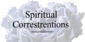 correspondences for spiritual cluster