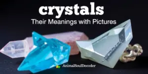 Crystals and Their Meanings With Pictures