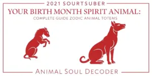 Your Birth Month Spirit Animal: Complete Guide to Zodiac Animal Totems