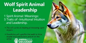 Wolf Spirit Animal Meaning: 5 Traits of Intuition and Leadership