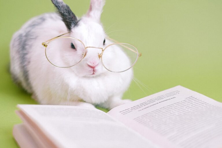 Unlocking Ancient Wisdom: Animal Correspondences for Spiritual Growth - AnimalSoulDecoder