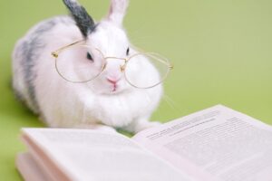 Unlocking Ancient Wisdom: Animal Correspondences for Spiritual Growth