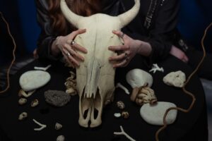 Animal Soul Decoder: Understanding Spiritual Correspondences and Divine Symbolism