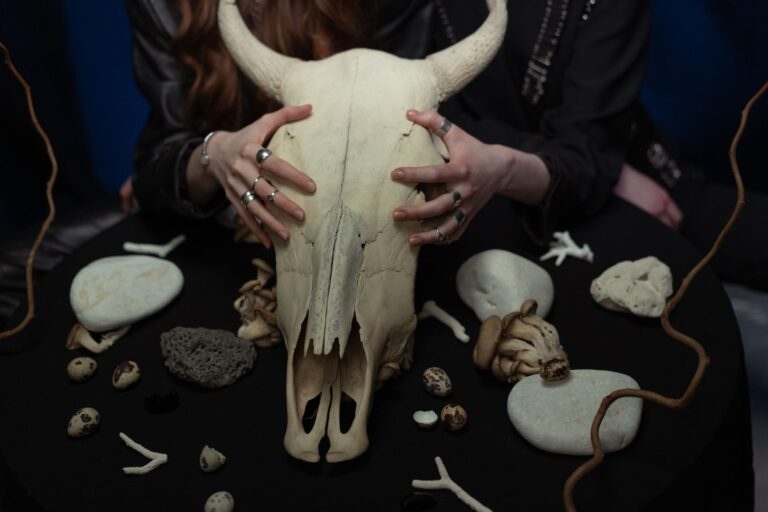 Animal Soul Decoder: Understanding Spiritual Correspondences and Divine Symbolism - AnimalSoulDecoder