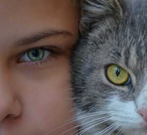 Connecting With Your Pet's Spirit Through Ancient Traditions