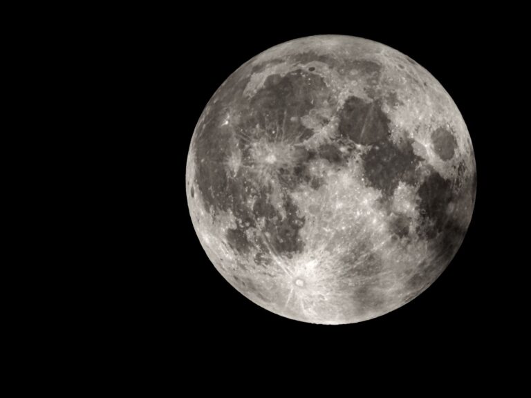 Lunar Phases & Nocturnal Animal Omens: Owl, Badger, Raccoon - animalsouldecoder