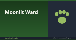 🧿 Moonlit Ward: A Beginner’s Guide to Casting a Protective Spell Jar