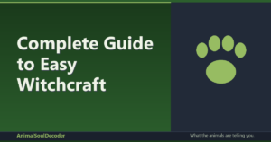 Complete Guide to Easy Witchcraft Spells Without Rare Ingredients