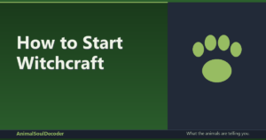 How to Start Witchcraft: Moon Phases & Beginner Spells