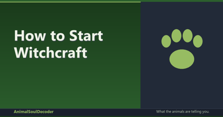 How to Start Witchcraft: Moon Phases & Beginner Spells