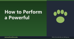How to Perform a Powerful Animal Spirit Connection Ritual: A Step-by-Step Guide