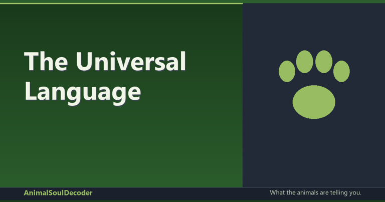 The Universal Language: Understanding Correspondences in the Spiritual Realm