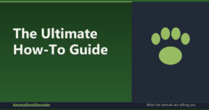 The Ultimate How-To Guide: Decoding Your Animal's Spiritual Language