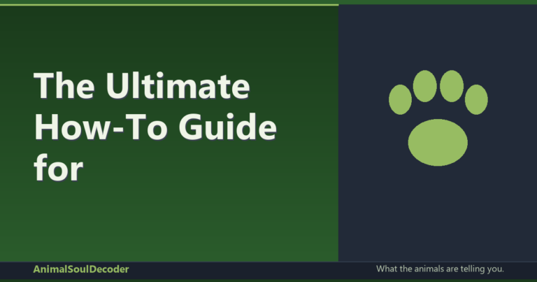 The Ultimate How-To Guide for Understanding Your Animal's Spiritual Language