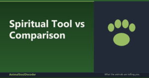 Spiritual Tool vs Comparison: Finding Your Perfect Match