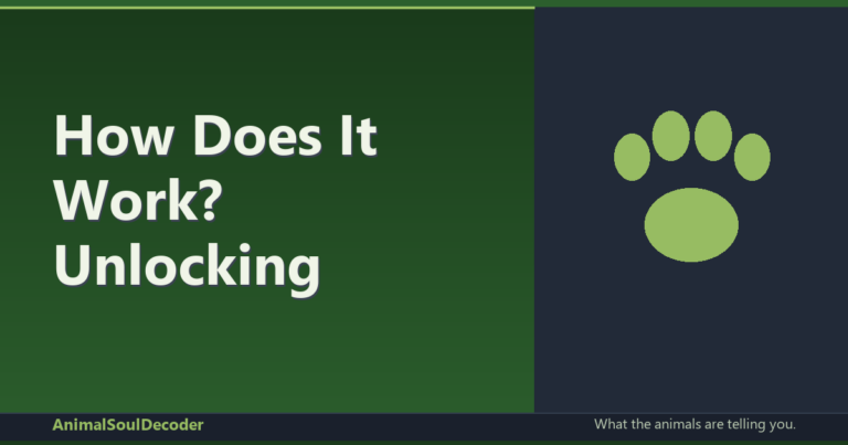 How Does It Work? Unlocking the Spiritual Secrets of Animal Soul Decoding