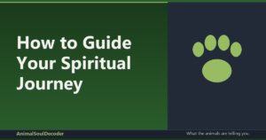 How to Guide Your Spiritual Journey: Practical Steps for a Deeper Connection