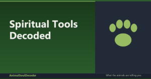 Spiritual Tools Decoded: A Practical Guide to an Effective Review Comparison