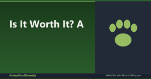 Is It Worth It? A Soulful Guide to Your Spiritual Investment