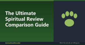 The Ultimate Spiritual Review Comparison Guide: Finding Your Perfect Practice Match
