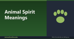 Animal Spirit Meanings: Side-by-side Options Compared and Ranked (2026)