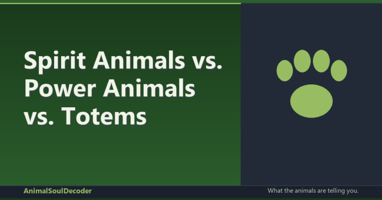 Spirit Animals vs. Power Animals vs. Totems: What's the Actual Difference