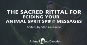The Sacred Ritual for Decoding Your Animal Spirit Messages: A Step-by-Step Guide